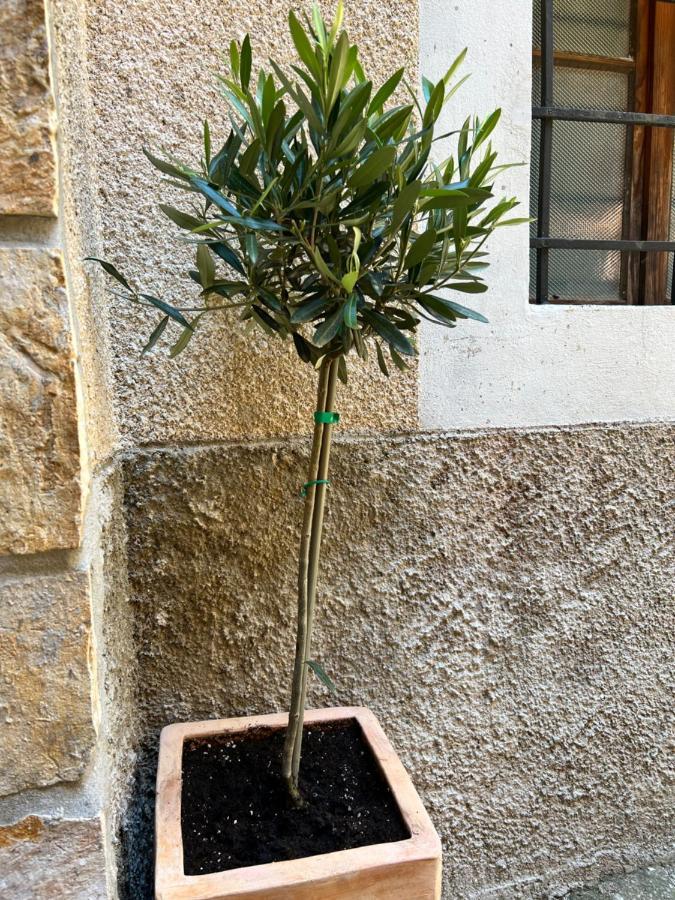 Seayou!***charming 1-bedroom Unit In The Old Center Of Appartement